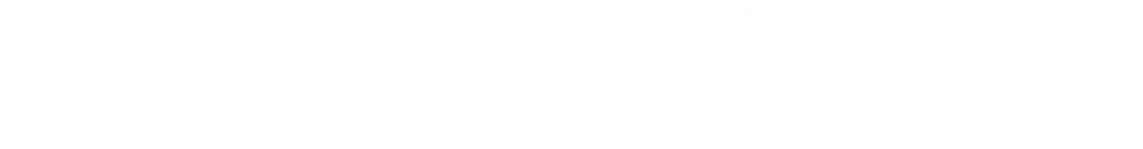 ホイールオプション