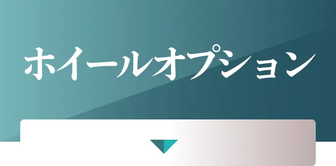 ホイール オプション