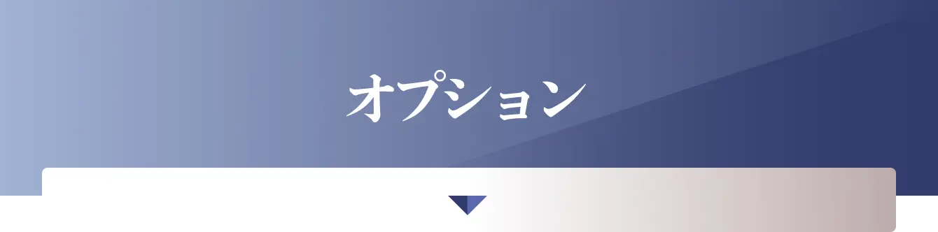 オプション